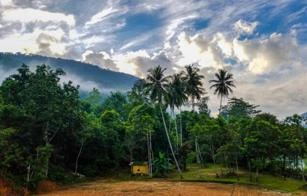 Sri Lanka Sinharaja