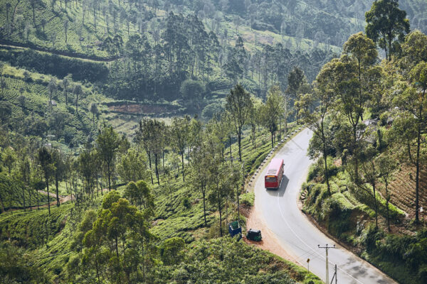 Sri Lanka Teeplantage