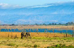 Sri Lanka: 10 Tage Rundreise in verschiedenen Hotels mit Halbpension nur 1.519 €