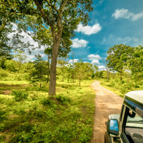 Sri Lanka Yala Nationalpark