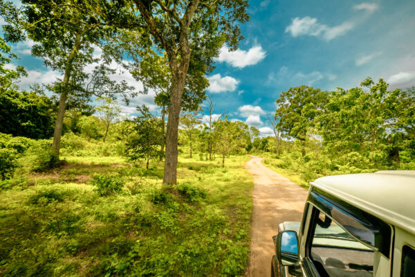 Sri Lanka Yala Nationalpark