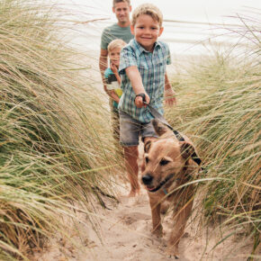 Sylt Familie Hund