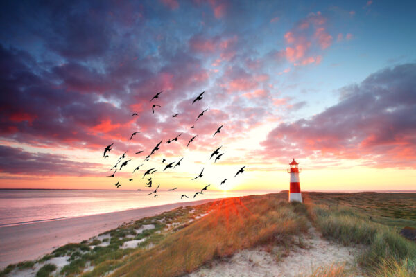 Ein Leuchtturm im Sonnenuntergang auf Sylt