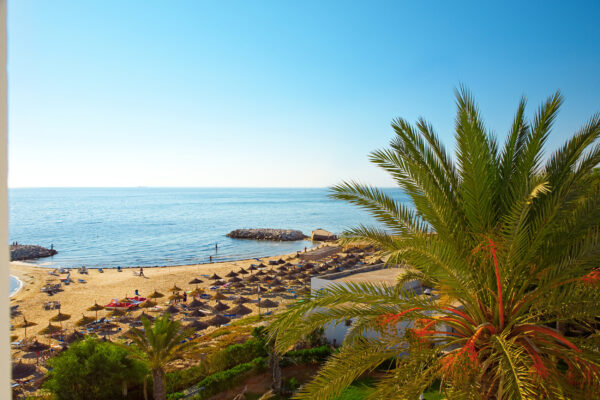 Tunesien Strand Palmen