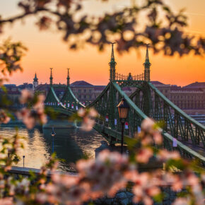 Ungarn Budapest Liberty Bridge