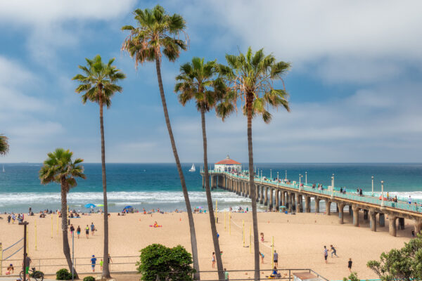 USA Los Angeles Manhattan Beach Palmen