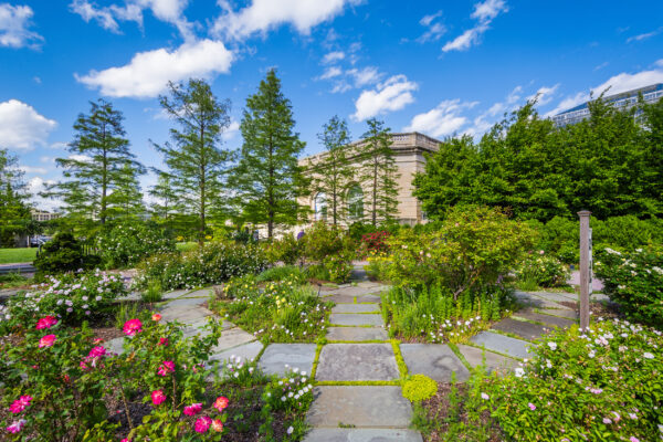 USA Washington DC Botanischer Garten