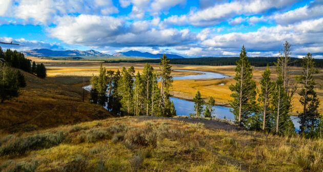 USA Yellowstone Nationalpark Fluss