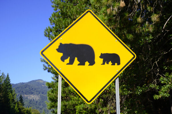 USA Yosemite Nationalpark Bären Schild