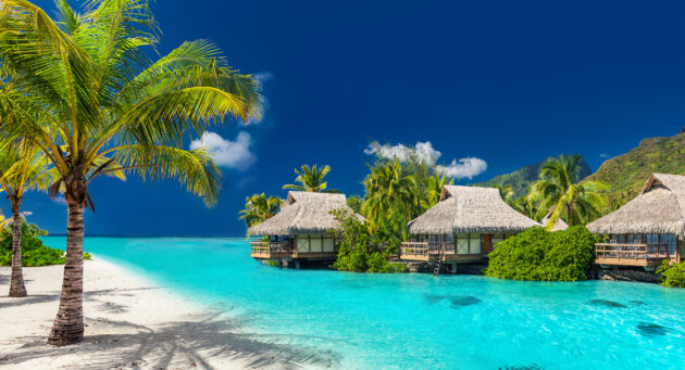 Bora Bora Palmen Bungalows
