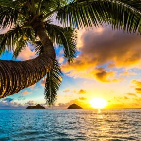 Beste Reisezeit für Hawaii: Alles zum Klima & den Temperaturen