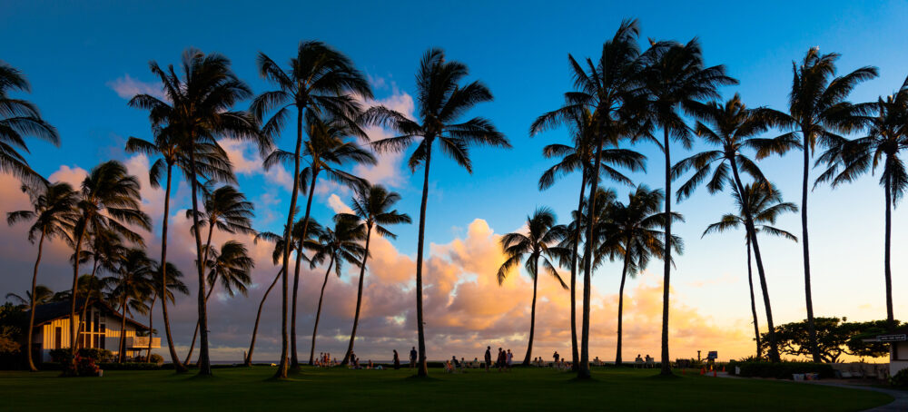 Hawaii Palmen Sonnenuntergang