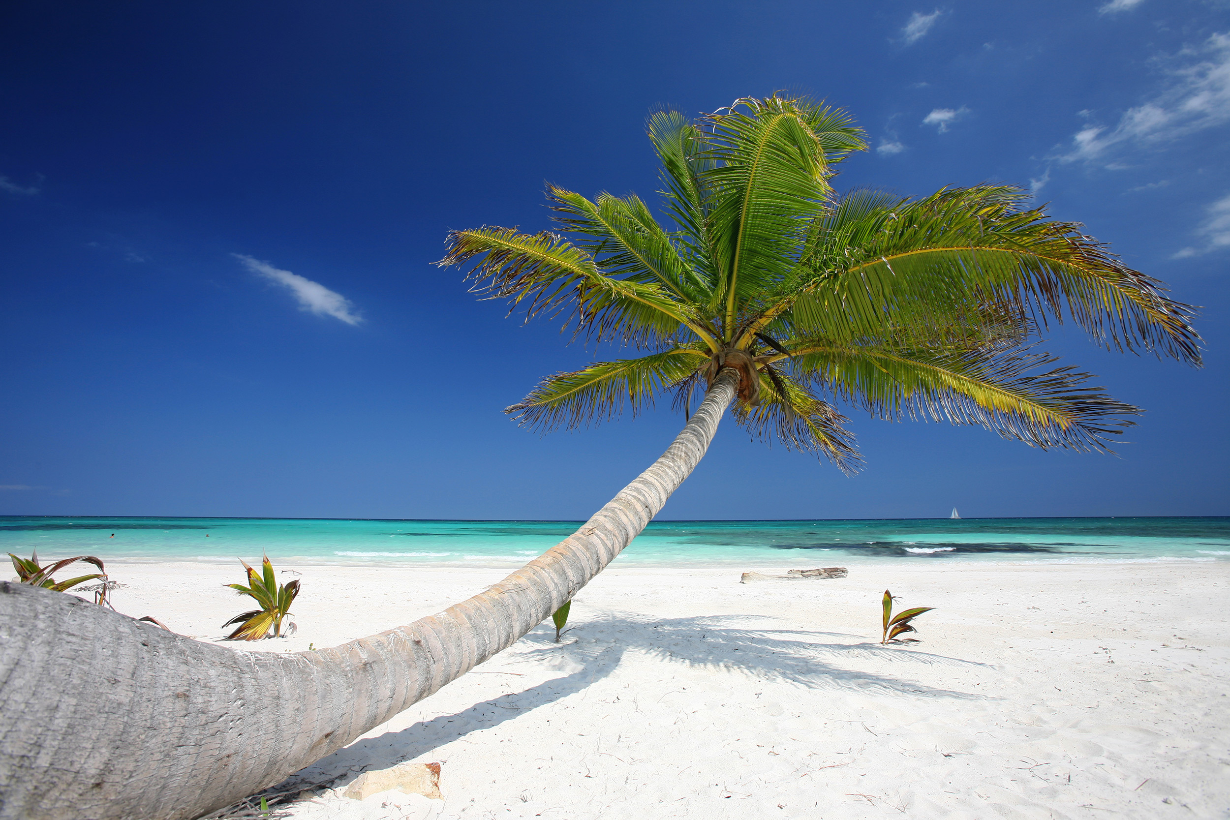 Auf nach Mexiko 10 Tage Strandurlaub im guten 4* Hotel mit All