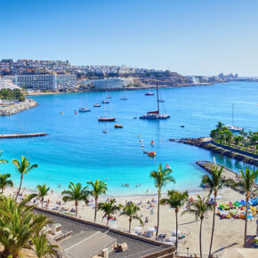 Spanien Gran Canaria Anfi Beach Palmen