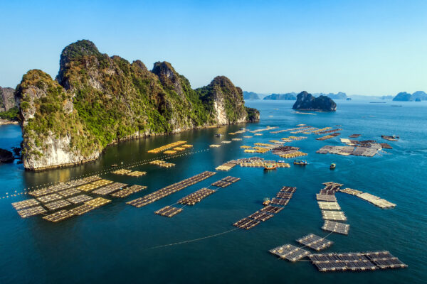 Vietnam Halong Bucht Schwimmendes Dorf