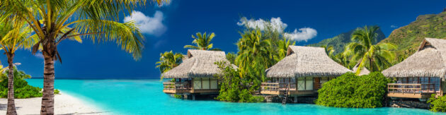 Bora Bora Palmen Bungalows Panorama