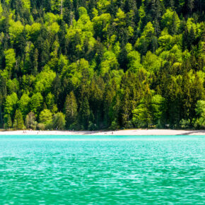 Earth Day 2022: Aktionen und Tipps für nachhaltigen Urlaub Earth Day 2022: Aktionen und Tipps für nachhaltigen Urlaub