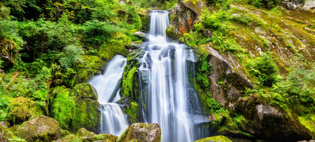 Schwarzwald-Wochenendtrip: 3 Tage nahe Triberger Wasserfälle im TOP 3* Hotel nur 75€
