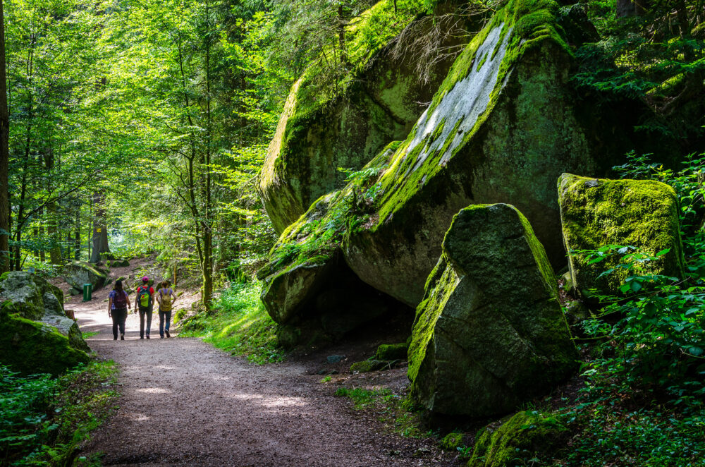 Deutschland Triberg Schwarzwald