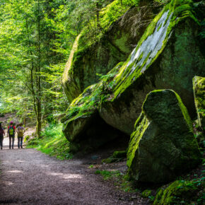 Single-Kurztrip: 3 Tage Wellness im Schwarzwald mit 4* Hotel, Halbpension &...