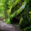 Single-Kurztrip: 3 Tage Wellness im Schwarzwald mit 4* Hotel, Halbpension & vielen Extras ab 199€