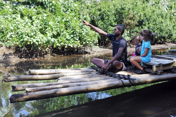 Fidschi Vaneua Levu Fluss