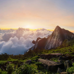 Indien Kerala Meesapulimala Peak