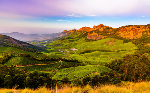 Indien Kerala Munnar Kulukumalai