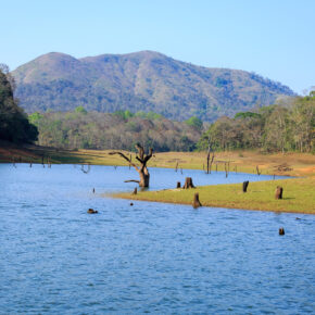 Indien Kerala Thekkady See