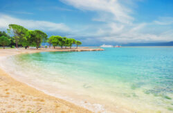 Kroatien: 4 Tage Oliven-Bucht im guten 4* Hotel direkt am Meer inkl. Halbpension & Extra...