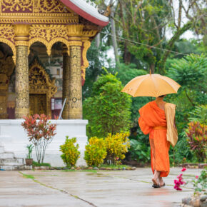 Laos Luang Prabang Monk