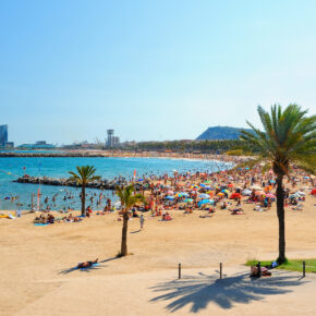 Spanien Barcelona Beach Palmen