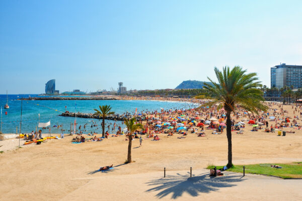 Spanien Barcelona Beach Palmen