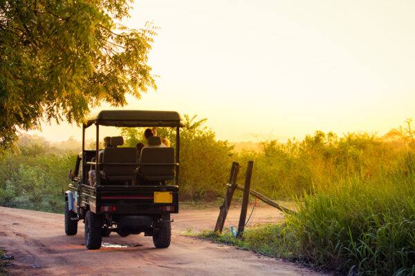 Sri Lanka Jeep