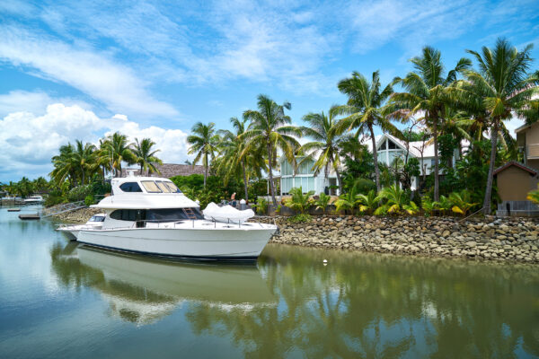 Fiji Yacht Palmen