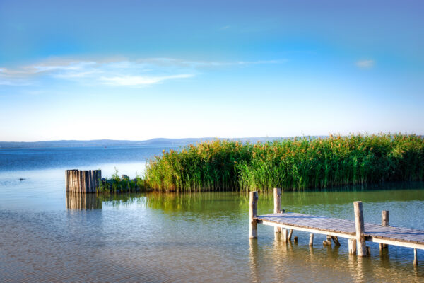 Österreich Burgenland Neusiedler See