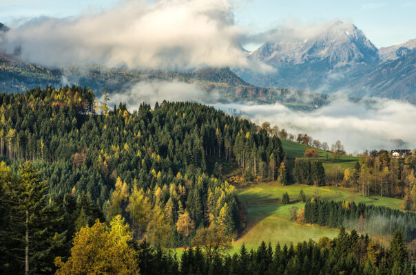 Österreich Nationalpark Kalkalpen