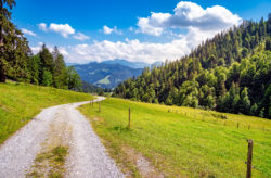 Nachhaltiger Kurztrip: 4 Tage auf TOP Biobauernhof in der Steiermark mit Frühstück für 194€