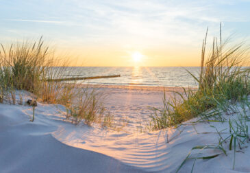 Urlaub an der Ostsee: 3 Tage im Wikinger-Resort mit Halbpension & Wellness direkt am Str...