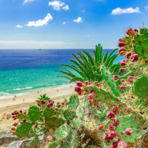 Kracher: 5 Tage Fuerteventura im 4* Hotel in Strandnähe mit All Inclusive, Flug, Transfer & Zug nur 295€ Kracher: 5 Tage Fuerteventura im 4* Hotel in Strandnähe mit All Inclusive, Flug, Transfer & Zug nur 295€