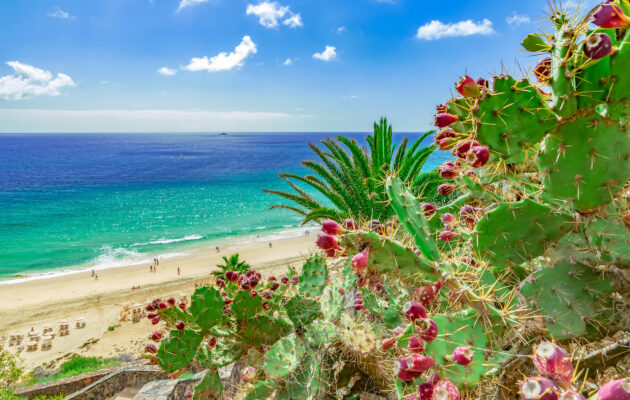 Spanien Kanaren Fuerteventura Esquinzo Beach