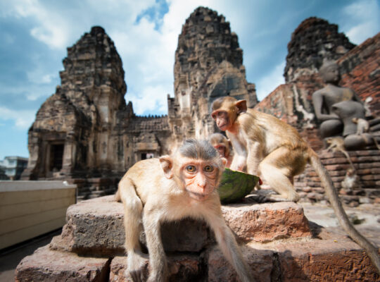 Thailand Lopburi