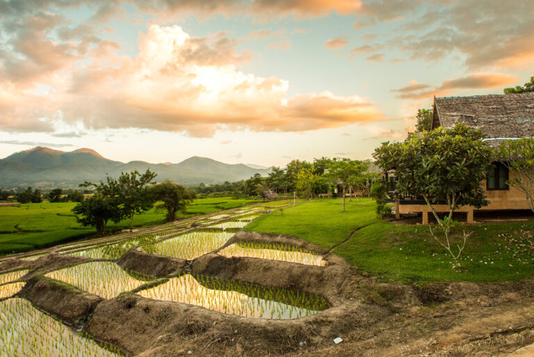 Von Chiang Mai nach Pai: Tipps für einen kurvenreichen Roadtrip