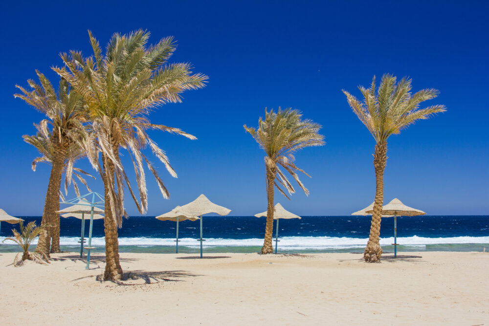 Tunesien Strand mit Palmen