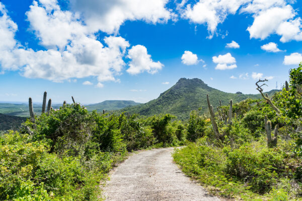 Curacao Willemstad Christoffel Nationalpark