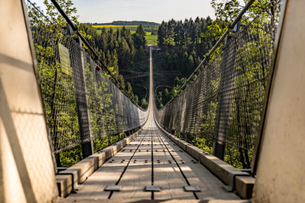 Deutschland Geierlay Hängebrücke
