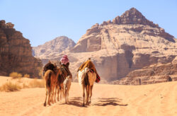 Wandern durch Wüste und Wadis: 11-tägige Rundreise durch Jordanien mit Übernachtungen, Halbpe...