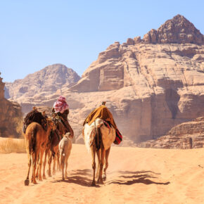 Wandern durch Wüste und Wadis: 11-tägige Rundreise durch Jordanien mit Übernachtungen, Halbpension, Flügen, Transfers & Extras für 2095€
