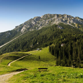 Österreich Wochenendtrip: 3 Tage Hopfgarten mit Pension und All Inclusive Light für 94€