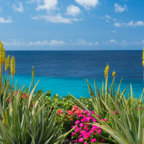 Karibik-Traum: 9 Tage Curacao im guten 3* Hotel inkl. Direktflug & Transfer nur 659€
